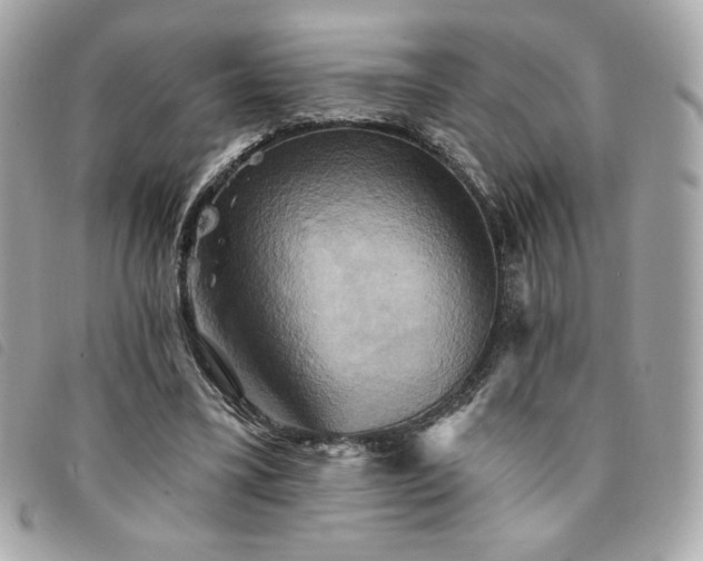 X0000094210395200710261215