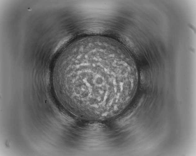 X0000094210396200710261215