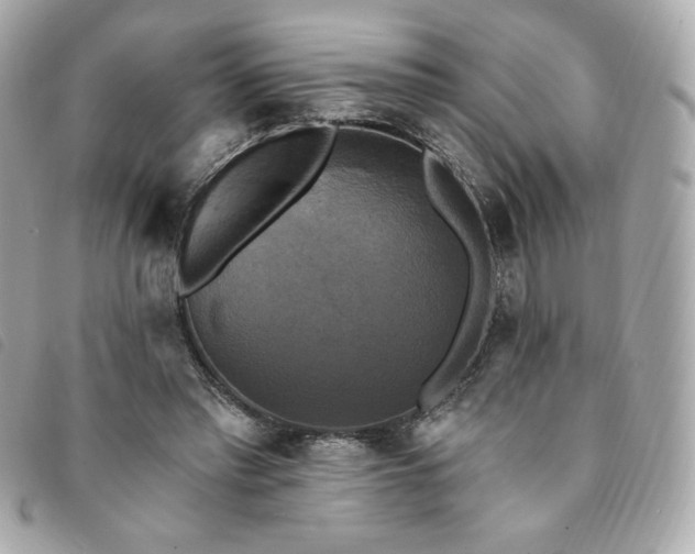 X0000094210397200710261215