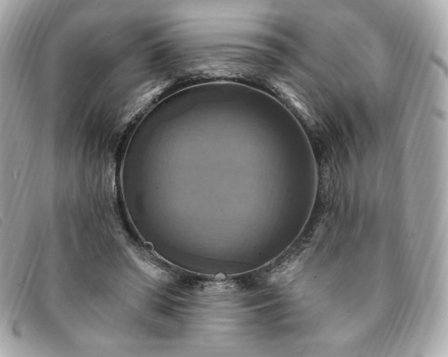 X0000094210398200710261215