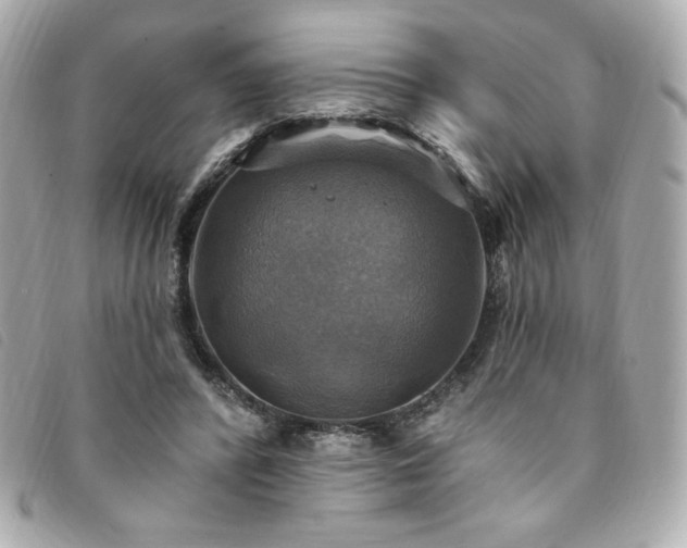 X0000094210400200710261215