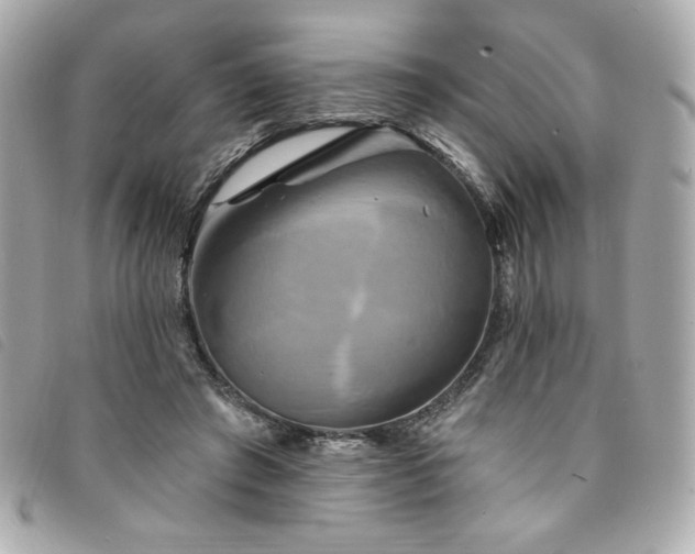 X0000094210401200710261215