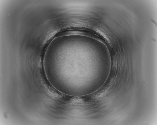 X0000094210403200710261214