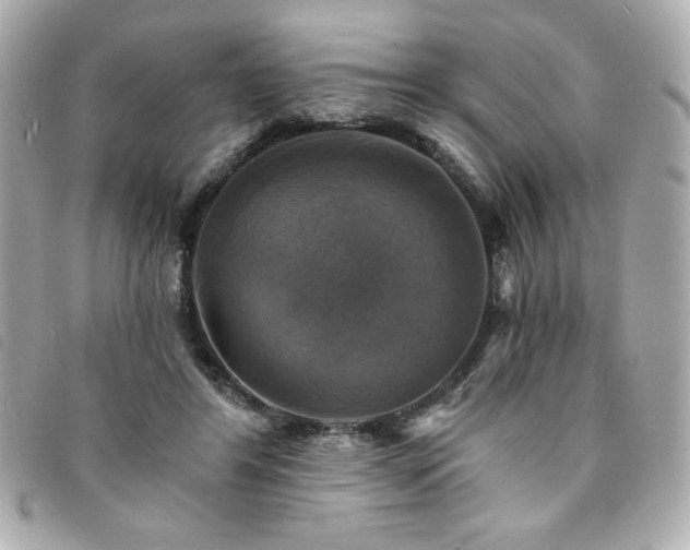 X0000094210404200710261214