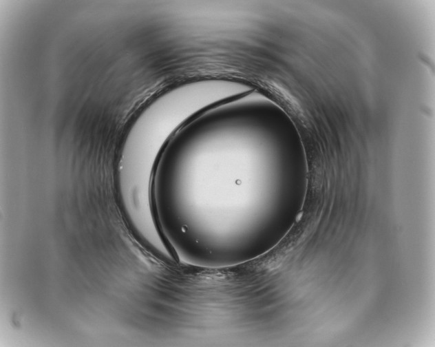 X0000094210405200710261214