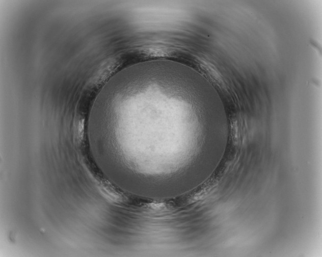 X0000094210406200710261214