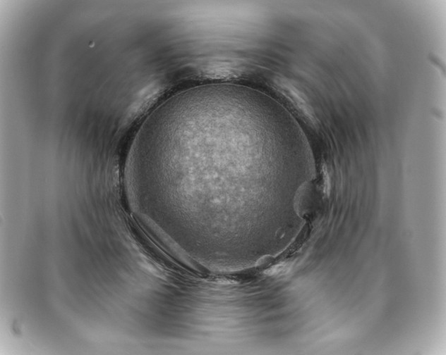 X0000094210407200710261214