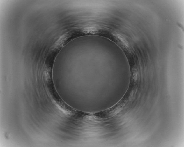 X0000094210408200710261214