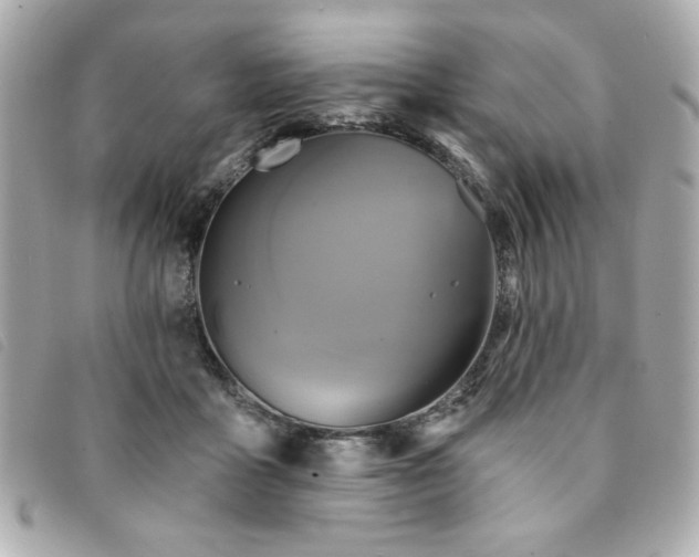 X0000094210411200710261214