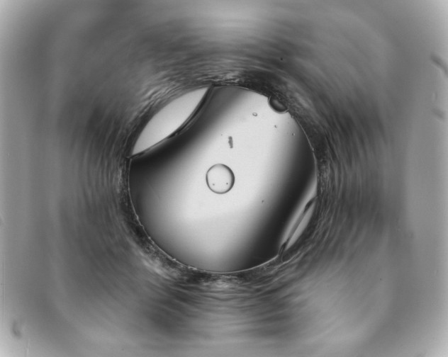 X0000094210412200710261214