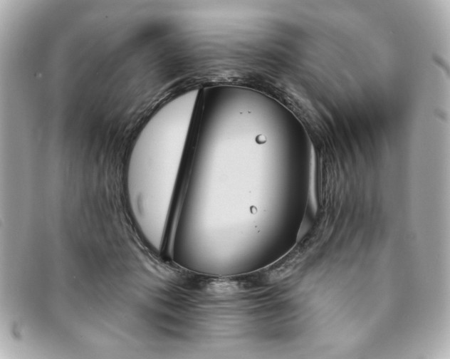X0000094210413200710261214