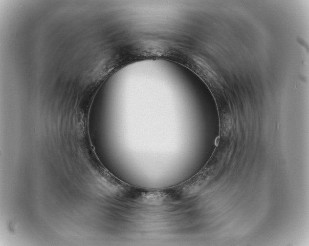 X0000094210414200710261214