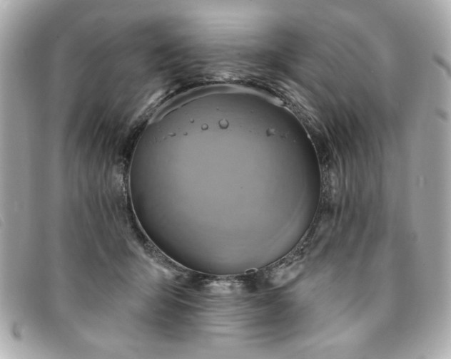 X0000094210415200710261214