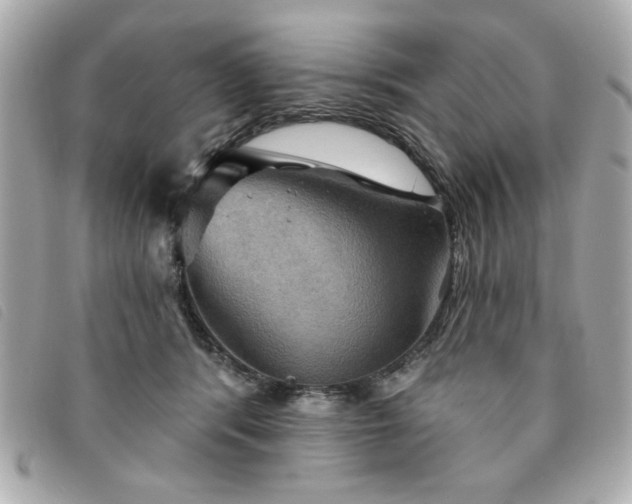 X0000094210416200710261214