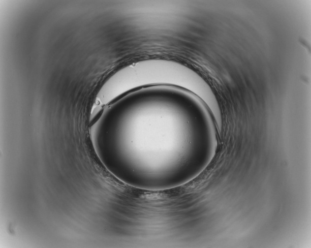X0000094210417200710261214