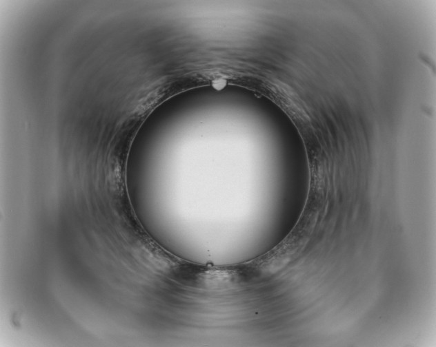 X0000094210418200710261214