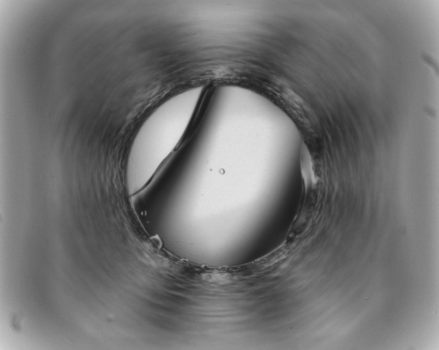 X0000094210419200710261214