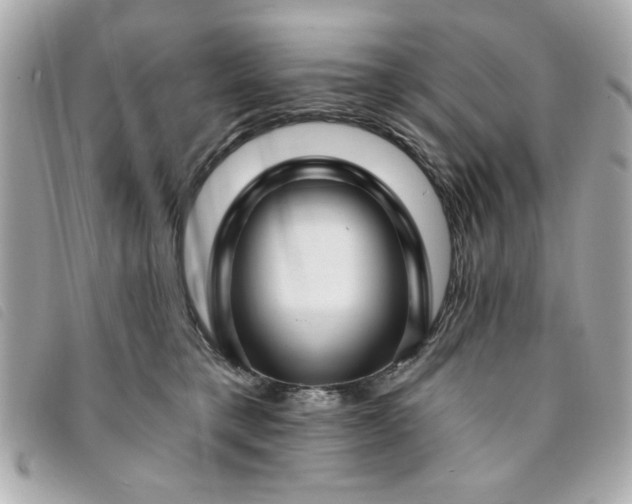 X0000094210421200710261214