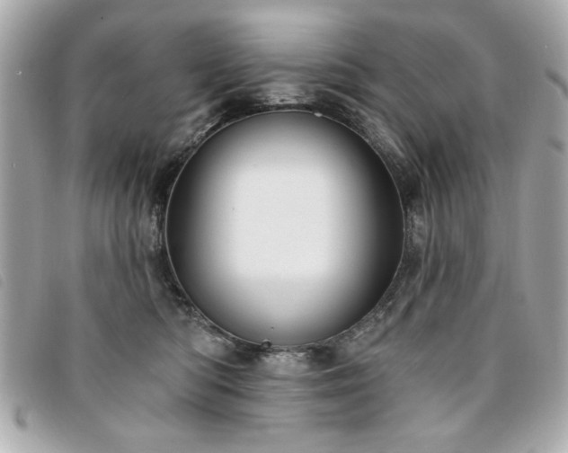 X0000094210422200710261214