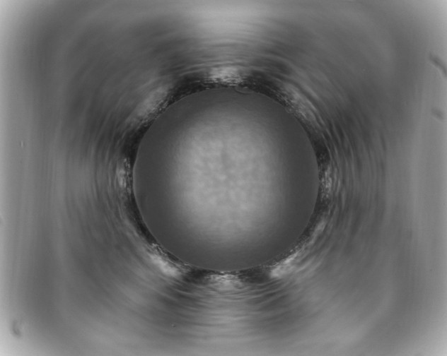 X0000094210424200710261214