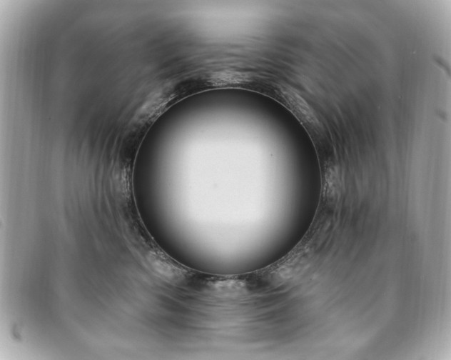 X0000094210426200710261214