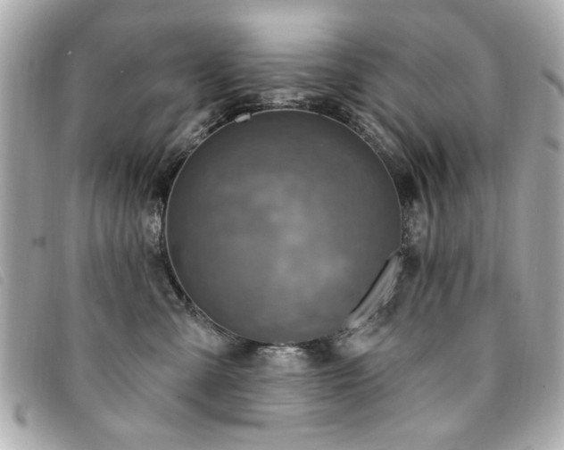 X0000094210427200710261214