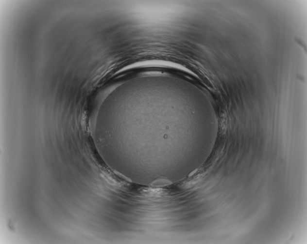 X0000094210428200710261214