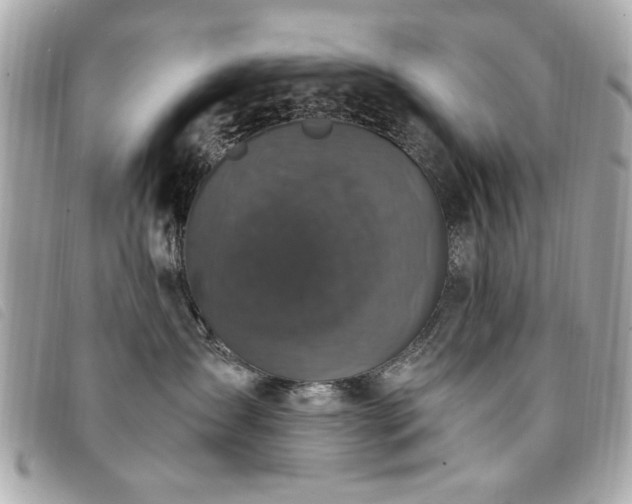 X0000094210431200710261214