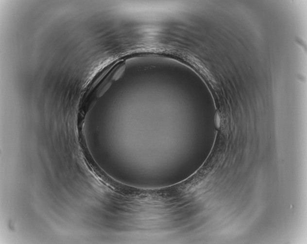X0000094210434200710261213