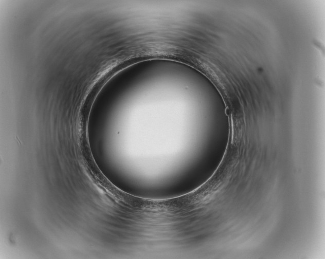 X0000094210435200710261213