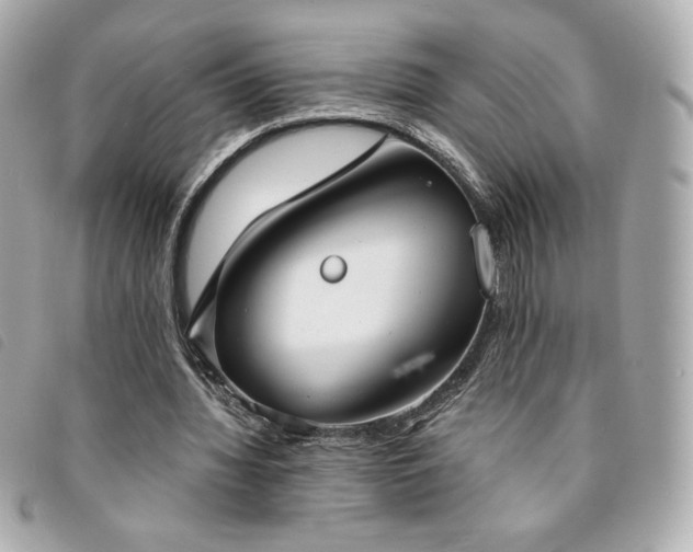 X0000094210436200710261213