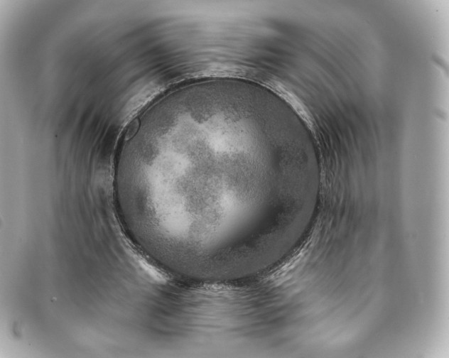 X0000094210437200710261213