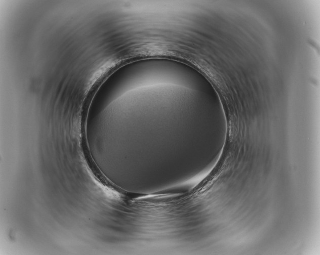 X0000094210438200710261213