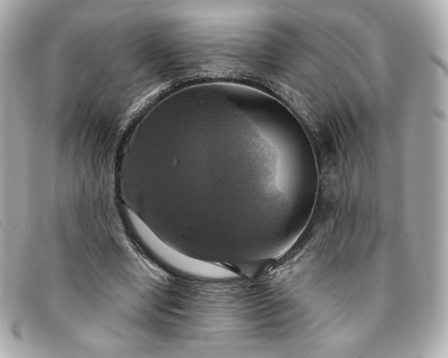 X0000094210442200710261214