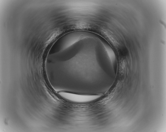 X0000094210443200710261214