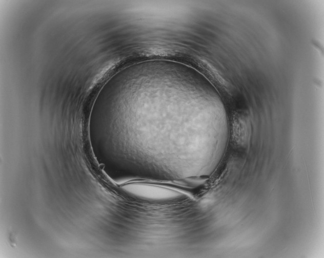 X0000094210444200710261214
