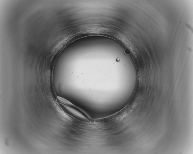 X0000094210445200710261214
