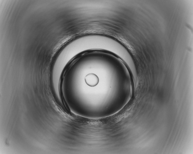 X0000094210446200710261214