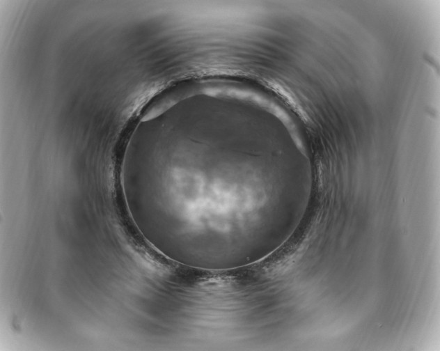 X0000094210447200710261214