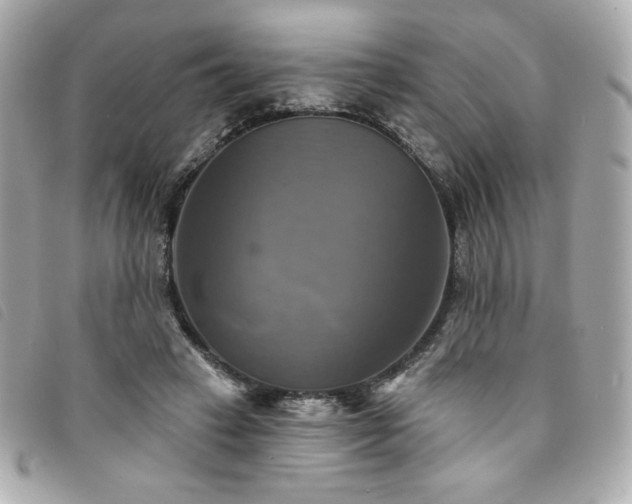 X0000094210449200710261214