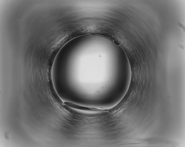 X0000094210450200710261214