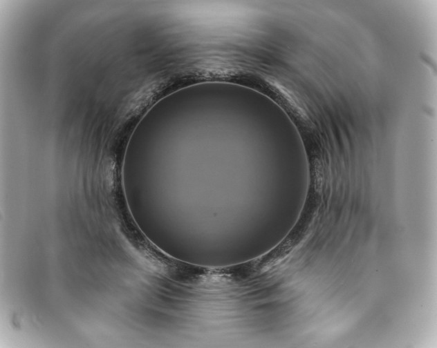 X0000094210451200710261214