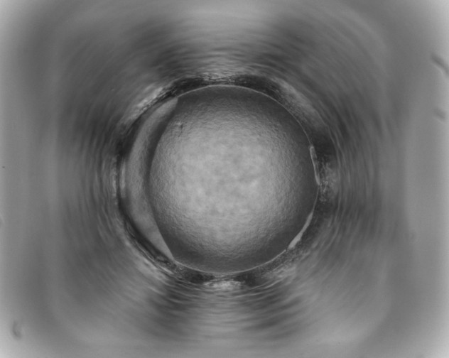 X0000094210452200710261214