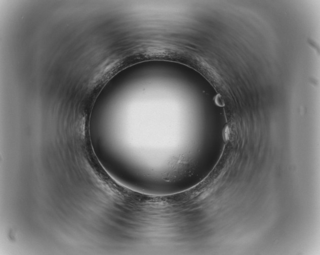 X0000094210454200710261214