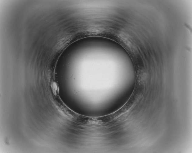 X0000094210455200710261214