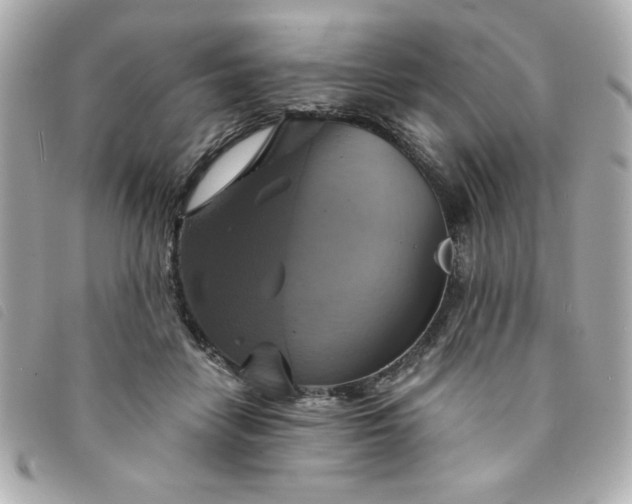 X0000094210458200710261214