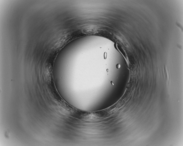 X0000094210460200710261214