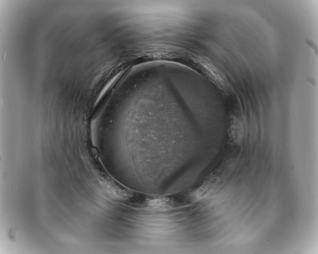 X0000094210461200710261214