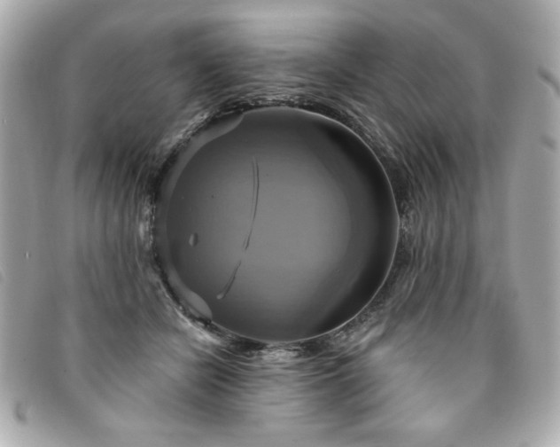X0000094210462200710261214