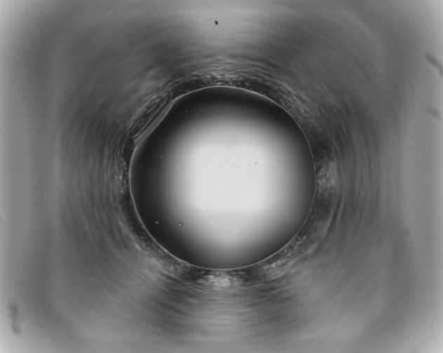 X0000094210464200710261214